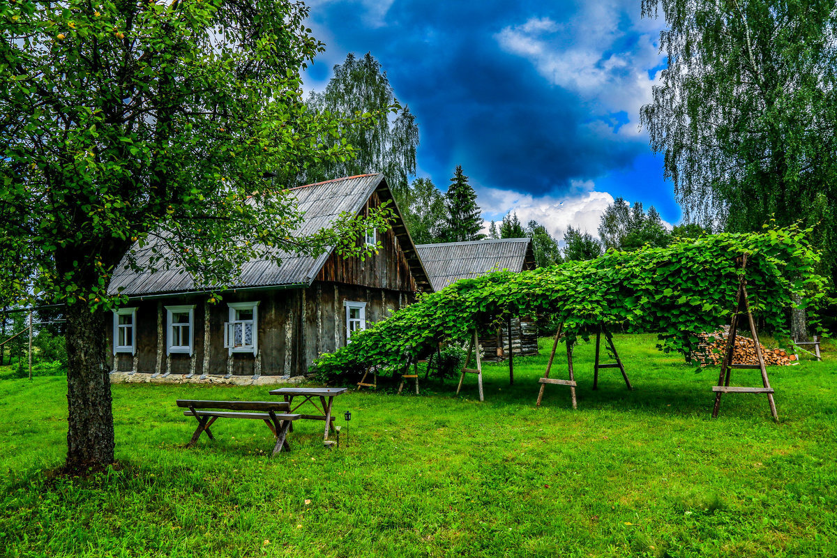 фото взято из открытого доступа