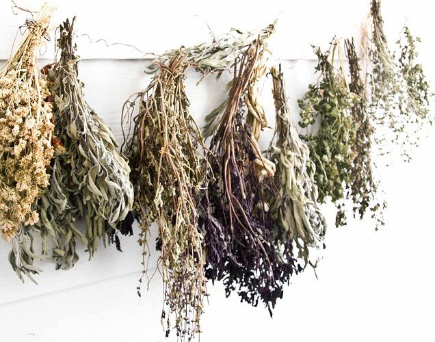 Изображение сайта Pixabay