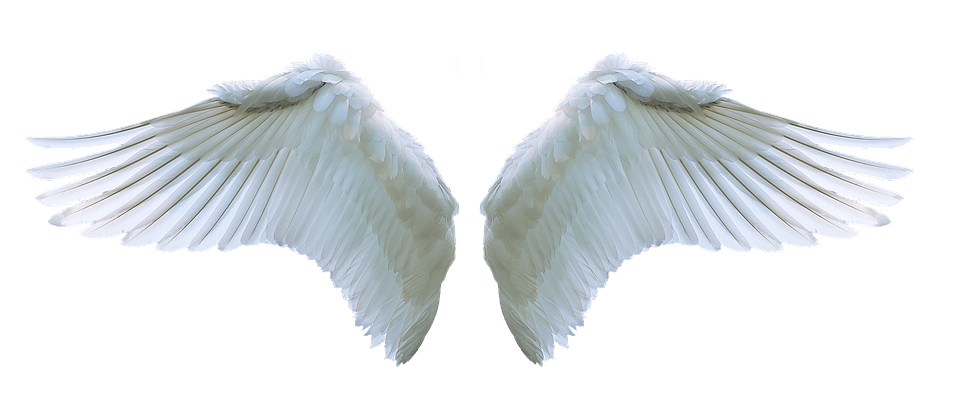 https://pixabay.com/photos/wing-angel-swan-white-swing-3303028/https://pixabay.com/photos/angel-woman-wing-female-2939548/