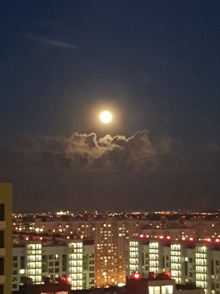 Из окна 25 этаж