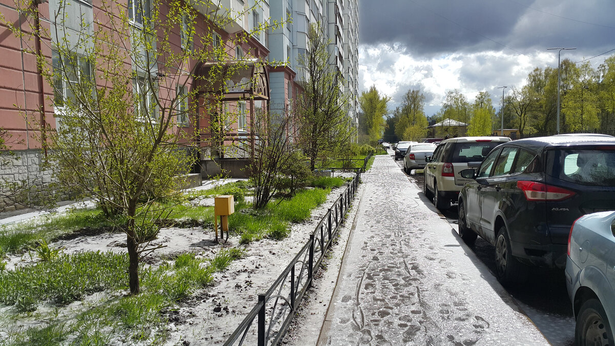 Снег почти летом