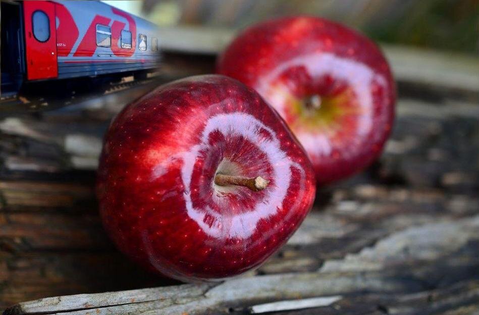 Ставьте лайк и подписывайтесь — так вы поможете развитию канала!