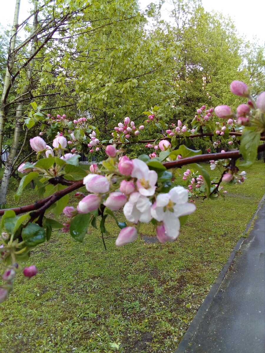 Фото автора.