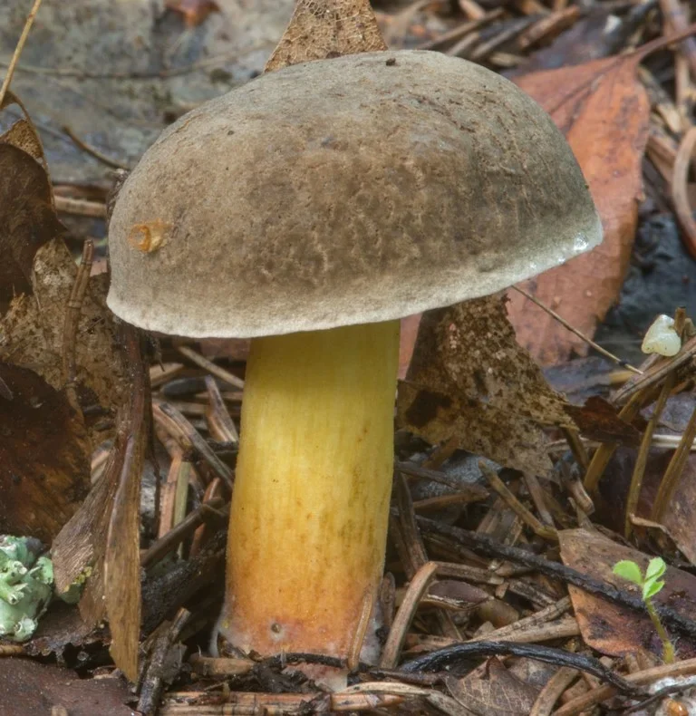 Фото из семейного архива автора