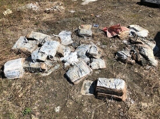  
Такой была территория в лесополосе до уборки. Фото: vk.com Реальный Ноябрьск