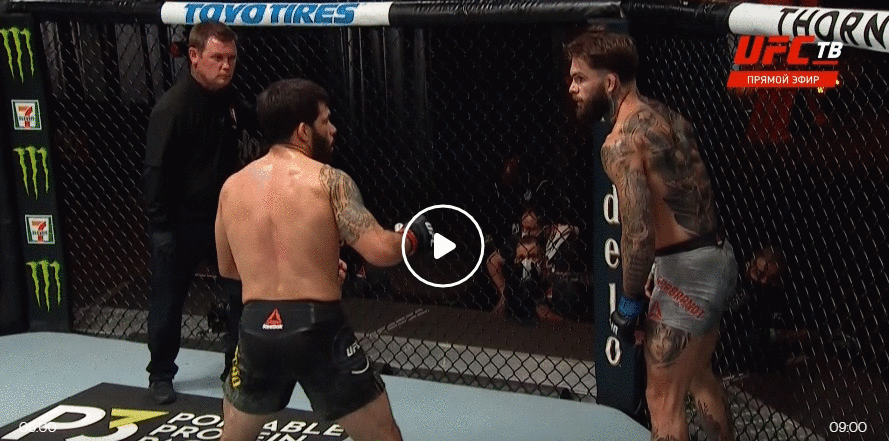 Фото из свободного источника.