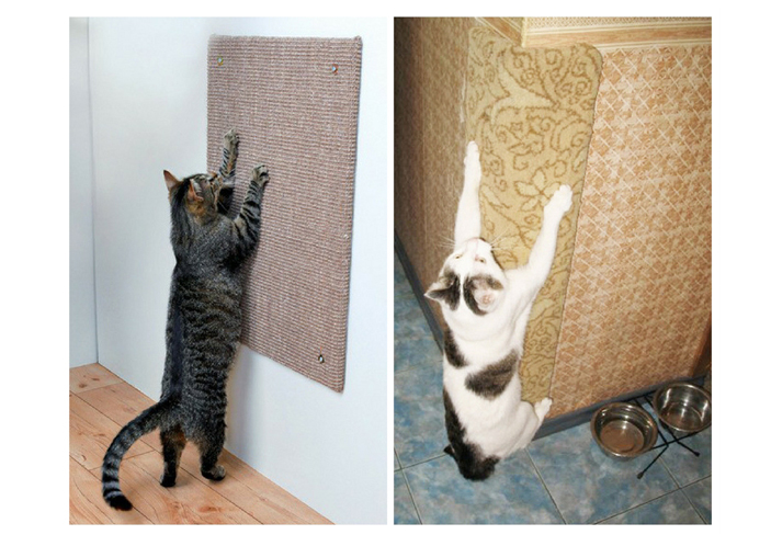 Когтеточка для кошек на угол стены. Ободранный кот. Кошка подрала диван. Защита углов от кошек. Как заделать кошку.