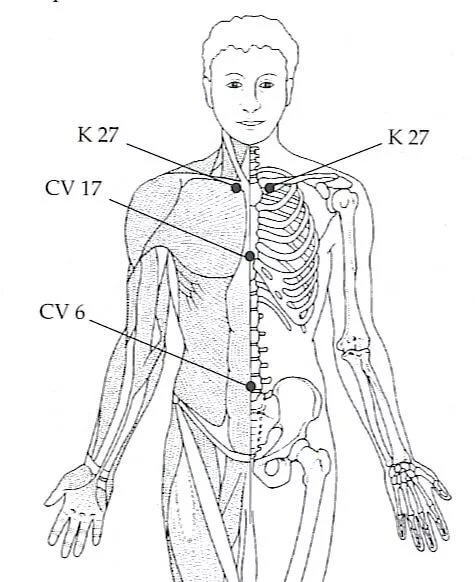Основные точки в акупунктуре 