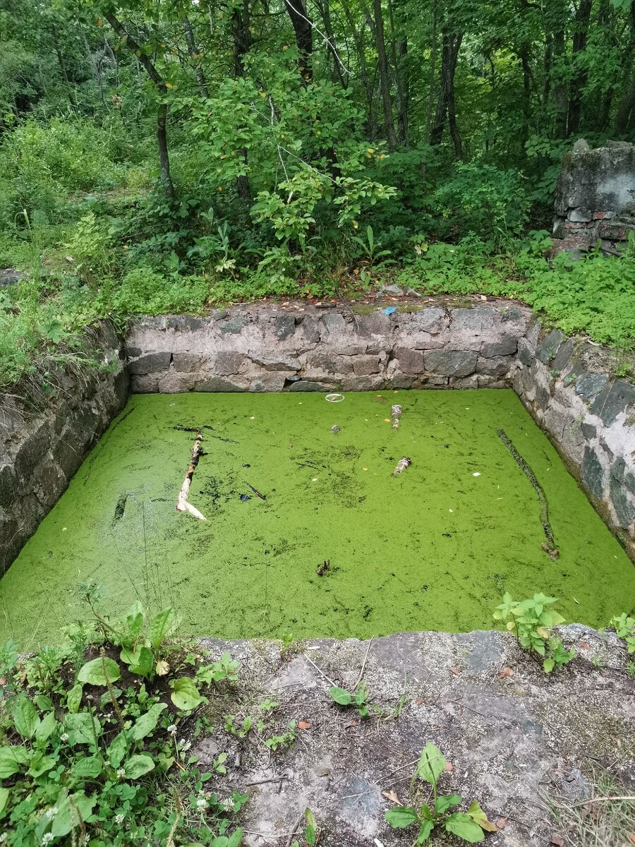 Не пей водицу козленочком станешь, и это в лучшем случае :)