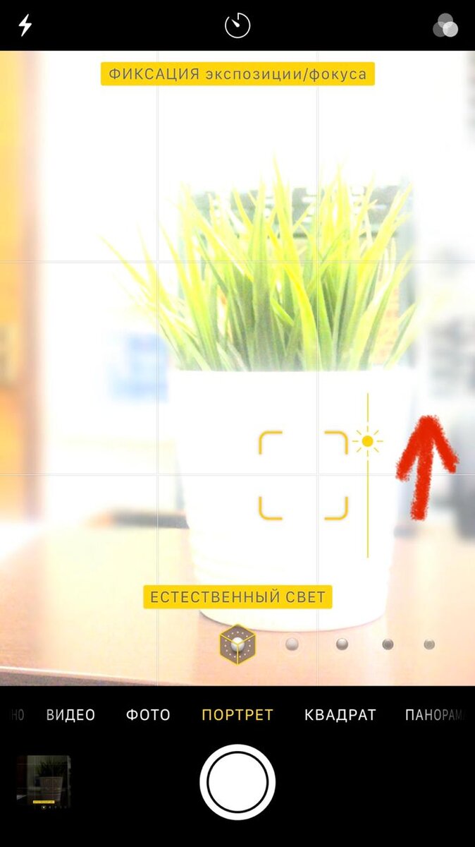 На снимке я намеренно засветил кадр путем перемещения ползунка с солнышком вверх.