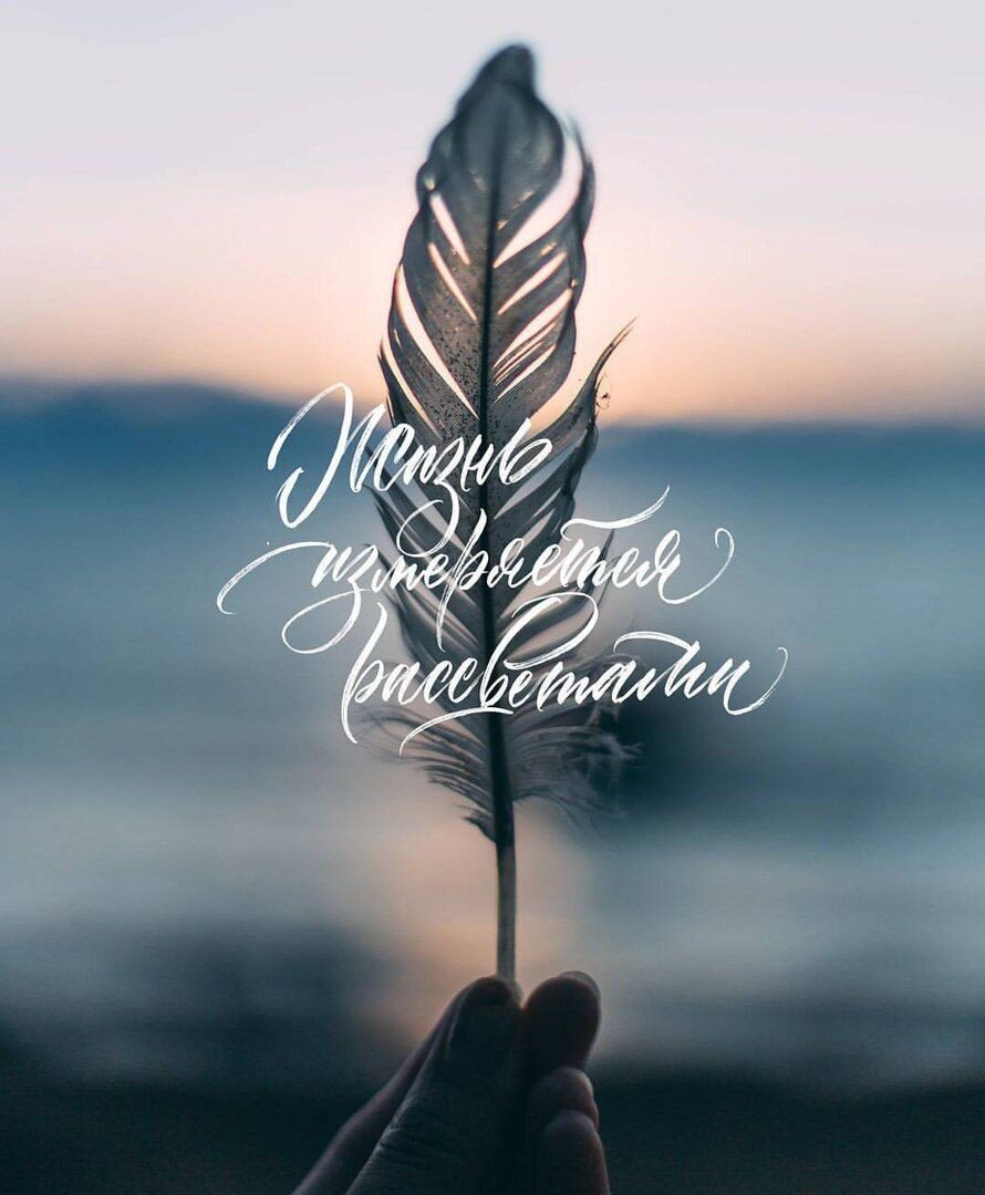 Изображение взято из сети. 