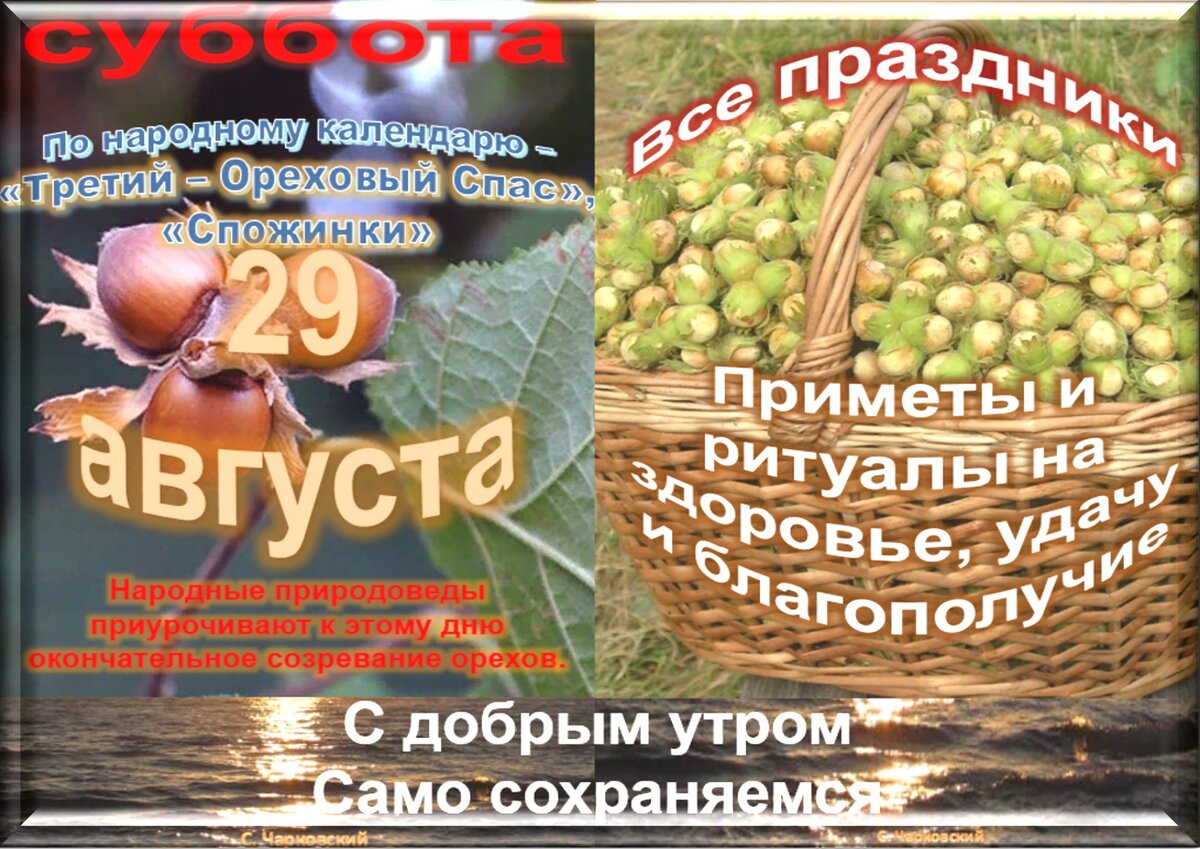 Встречаем новый день