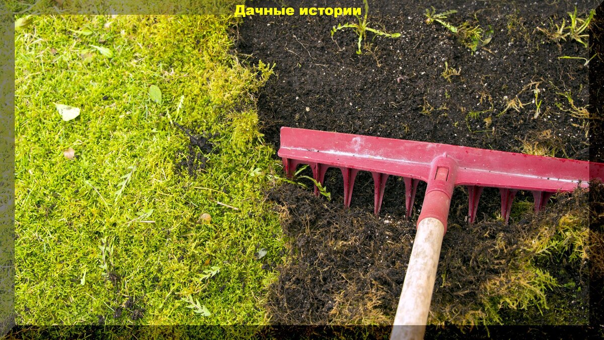 https://vk.com/photo-159774511_457244692