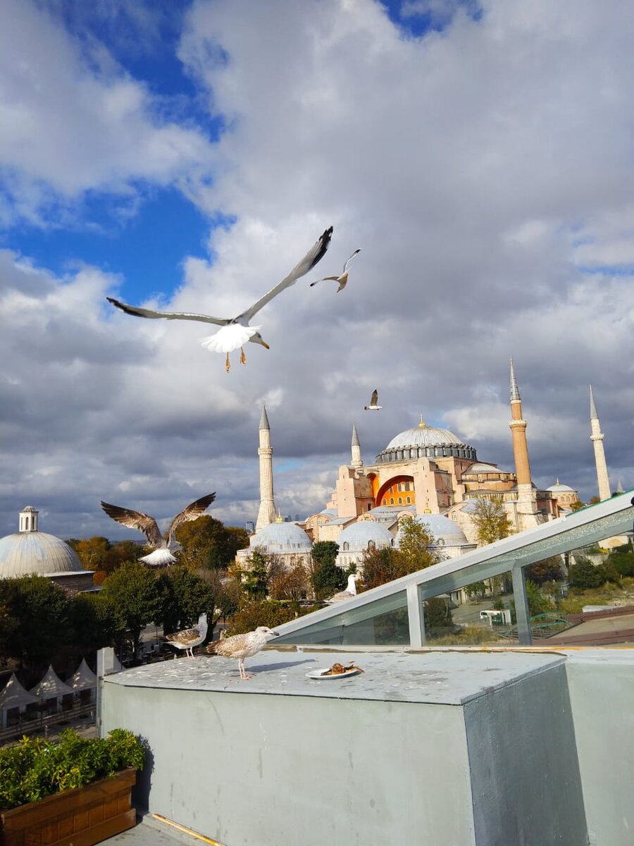 Фото без фильтров, сделано на телефон