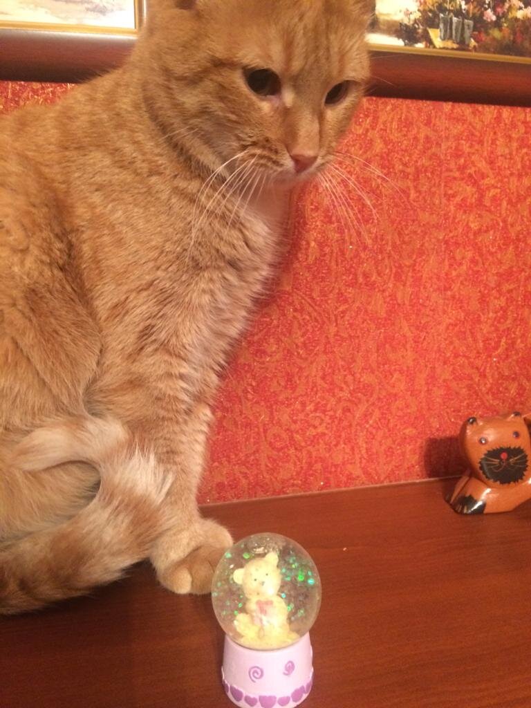 Мой мальчик