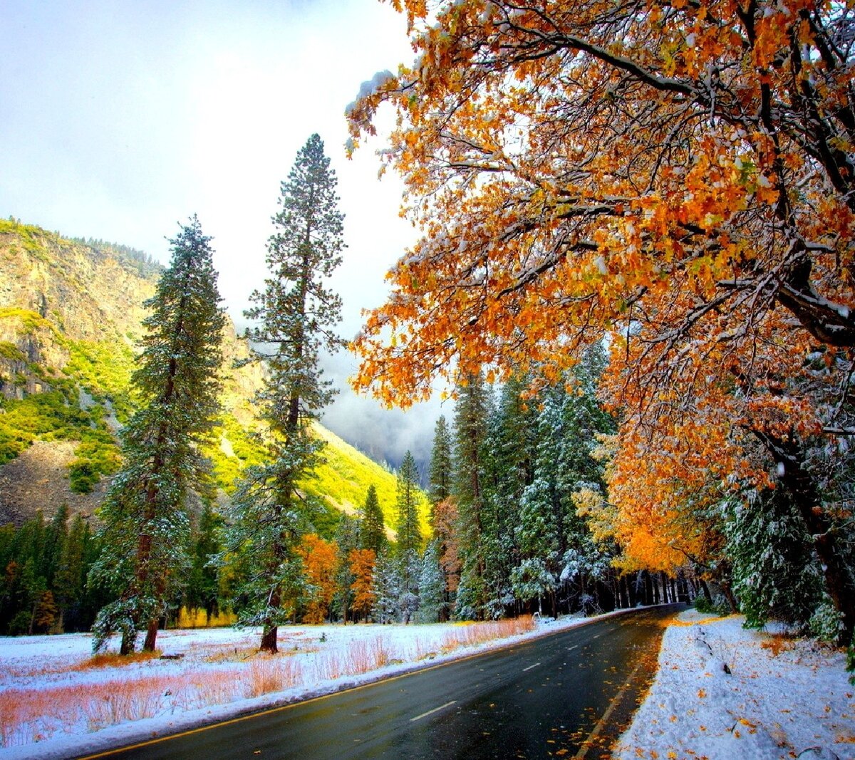 осень? зима? без разницы