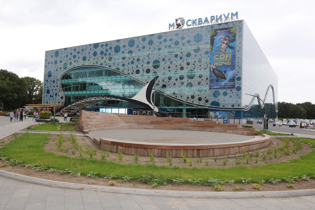 все фото - автора (Неслабенькое здание. Ну, в Москве все дистанции  -огромных размеров)