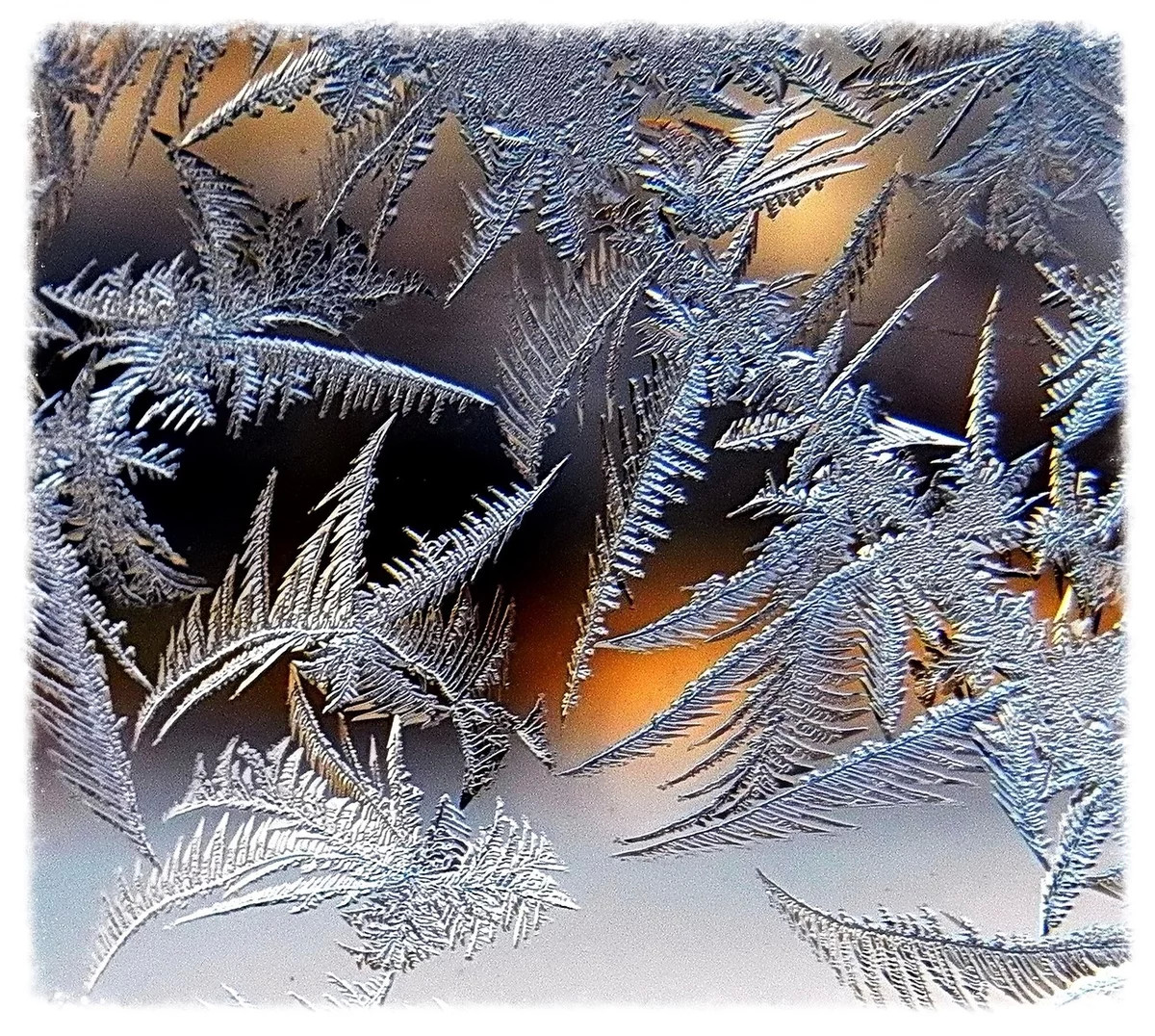 Морозные узоры. В начале сентября ночи становятся холодными морозными. Зимние узоры. Морозные узоры на окне. В начале сентября ночи становятся холодными морозными.