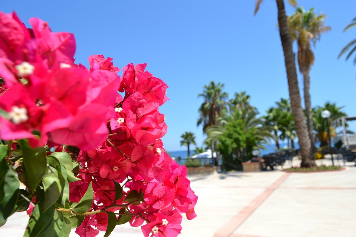 Турция, 2013 г. 