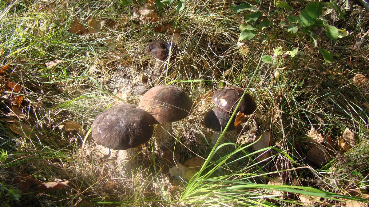 Фото автора.