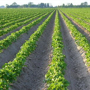 ДУША РАДУЕТСЯ!!!