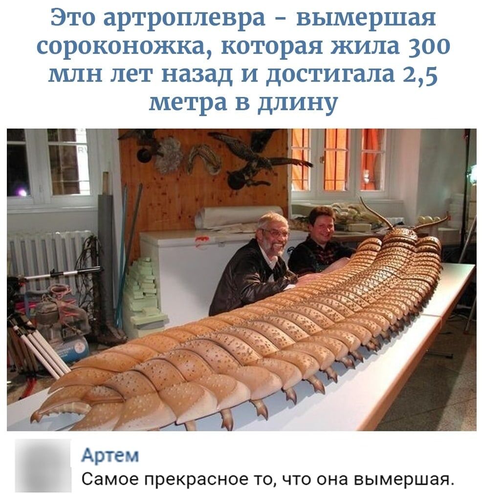 Страшный сон инсектофоба