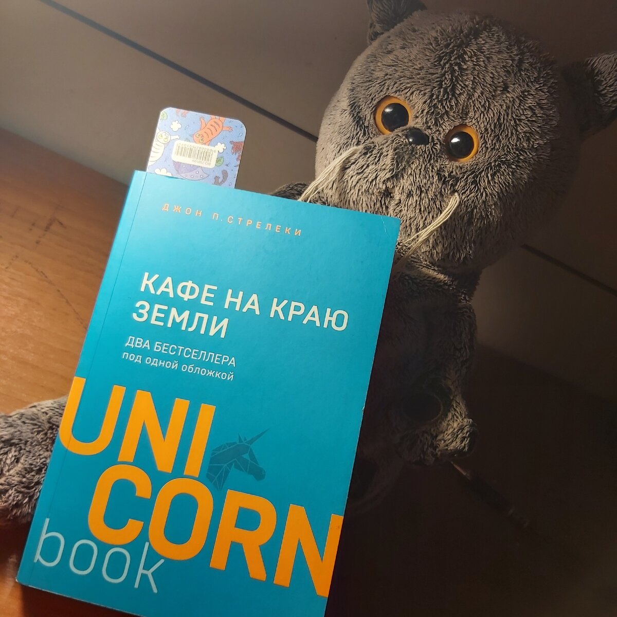 -Кот: я в этом мире, чтобы есть и спать!