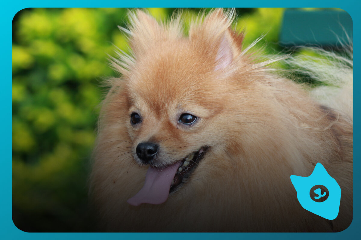 Уход и питание