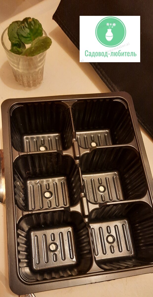 Вот в такой формочке для рассады буду сажать листики.