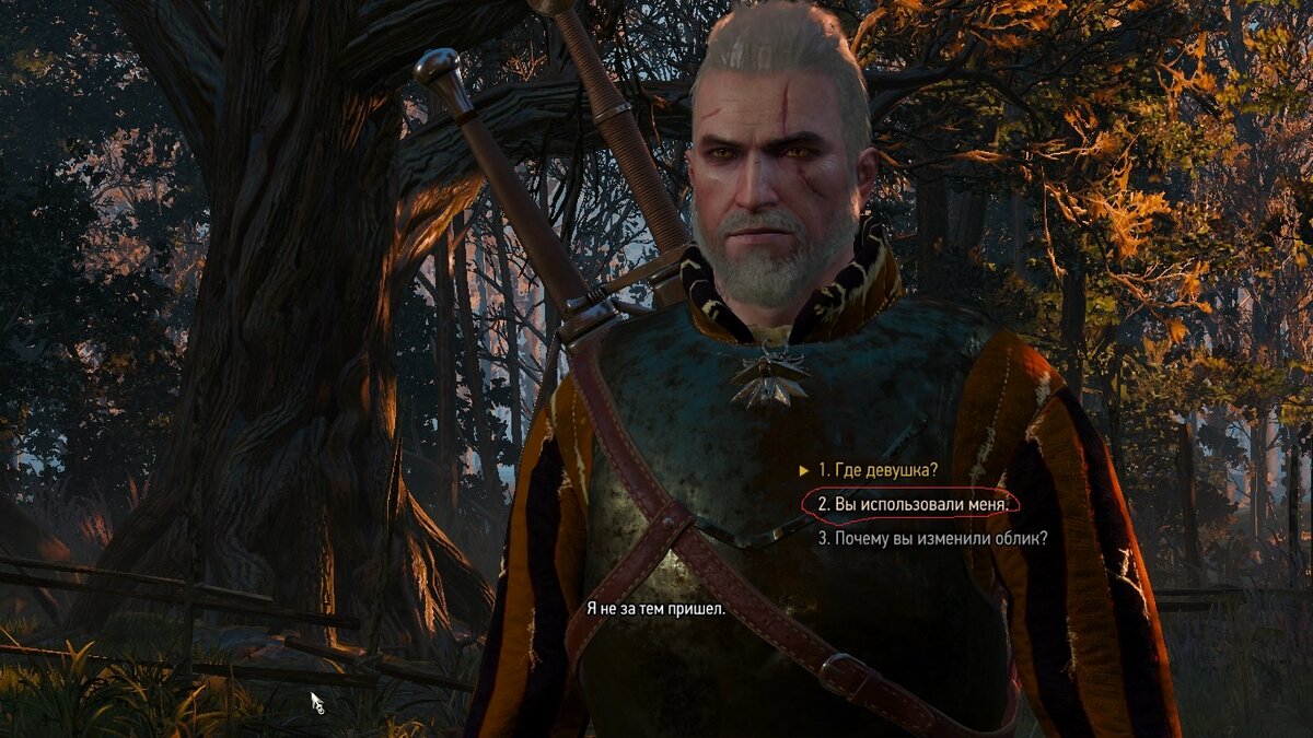Скриншот игры Ведьмак 3. Сделано в игре. Обведенное красным пропустить и не нажимать.