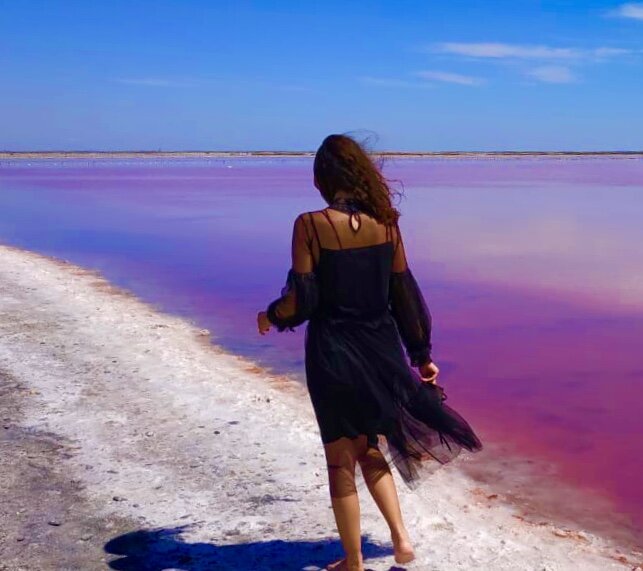 Перламутровый берег у розовой воды