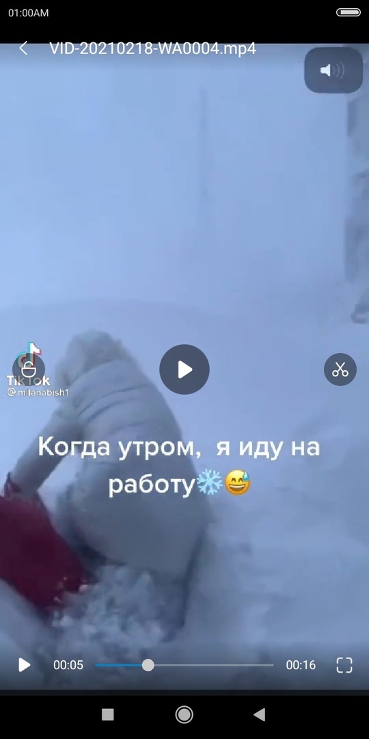 фрагмент с соц\сетей