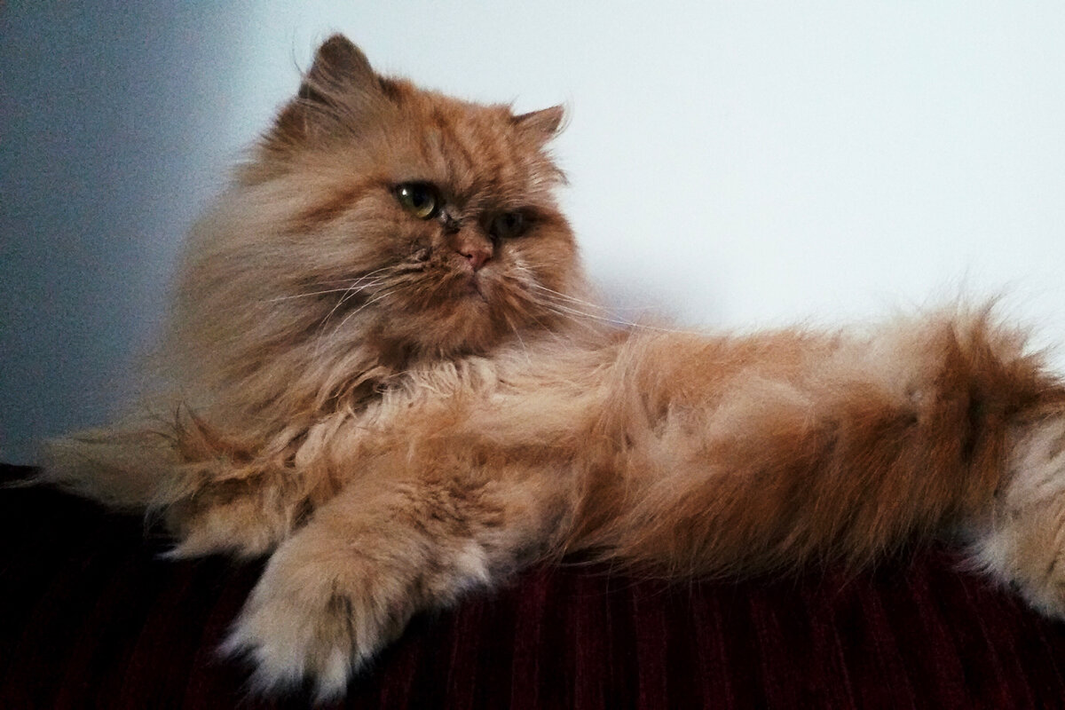 Малоподвижный образ жизни — он такой!