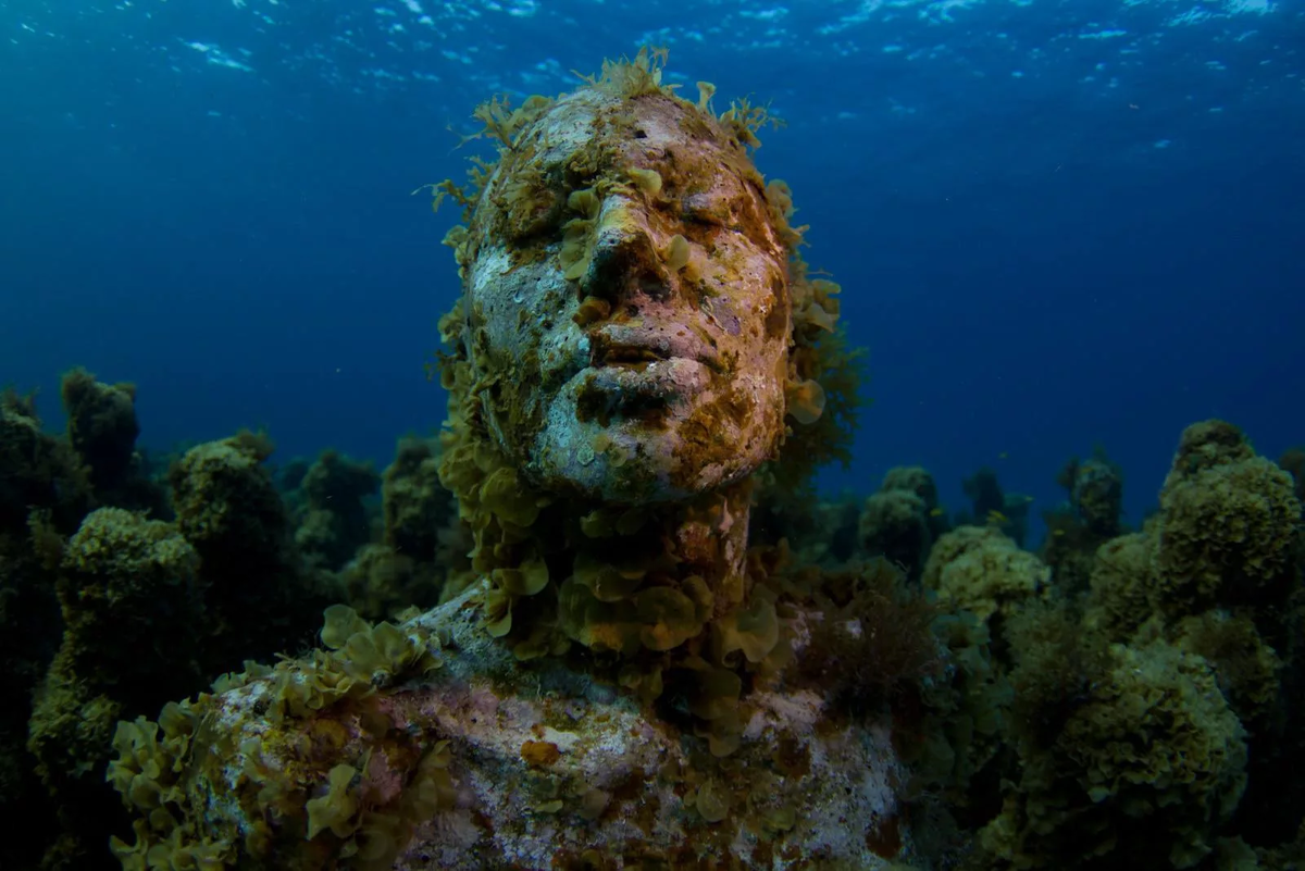 Есть жизнь на дне океана. Подводный музей скульптур Канкун Мексика. Юкатан подводный музей. Дно океана. Самое дно океана.