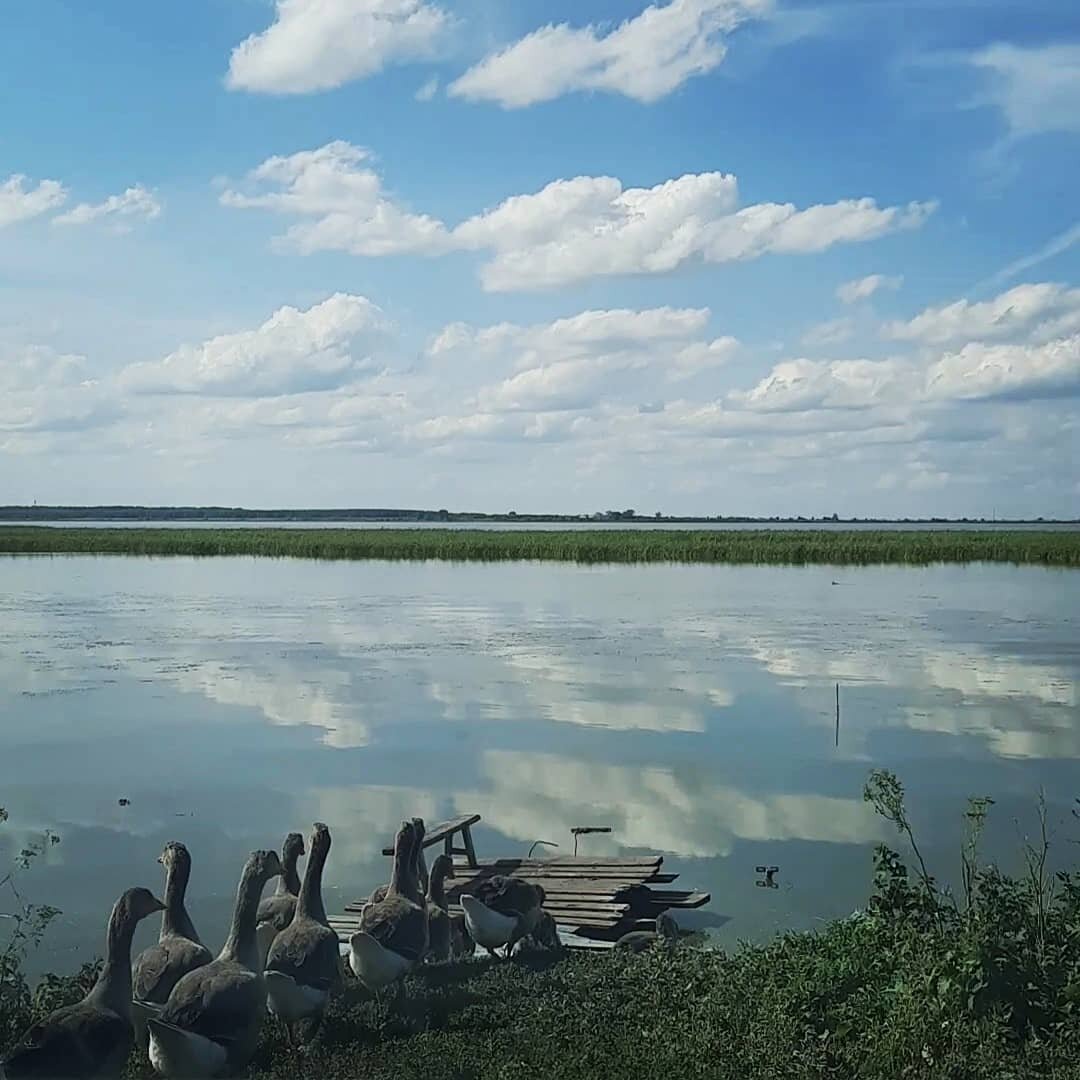 Озеро иткуль новосибирская область