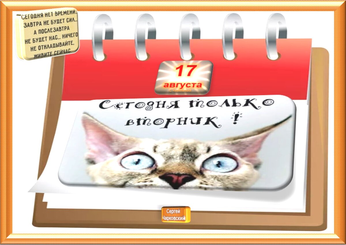 Встречаем новый день