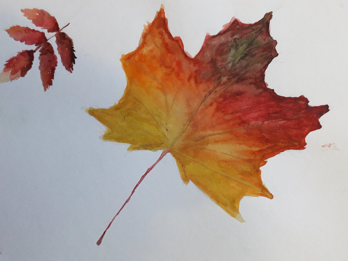 Считаю, что ЕГЭ - лучший из выпускных школьных экзаменов, с которыми я знакома. Фото автора.