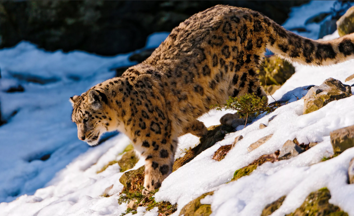дождитесь загрузки статьи  