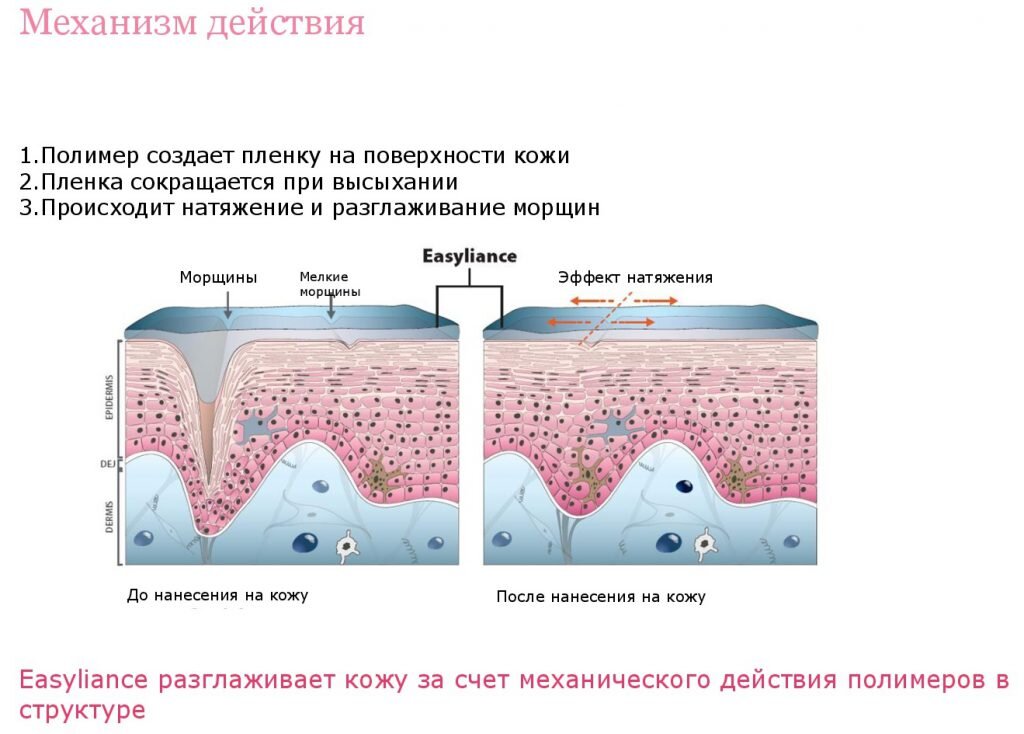 Механизм действия комплекса