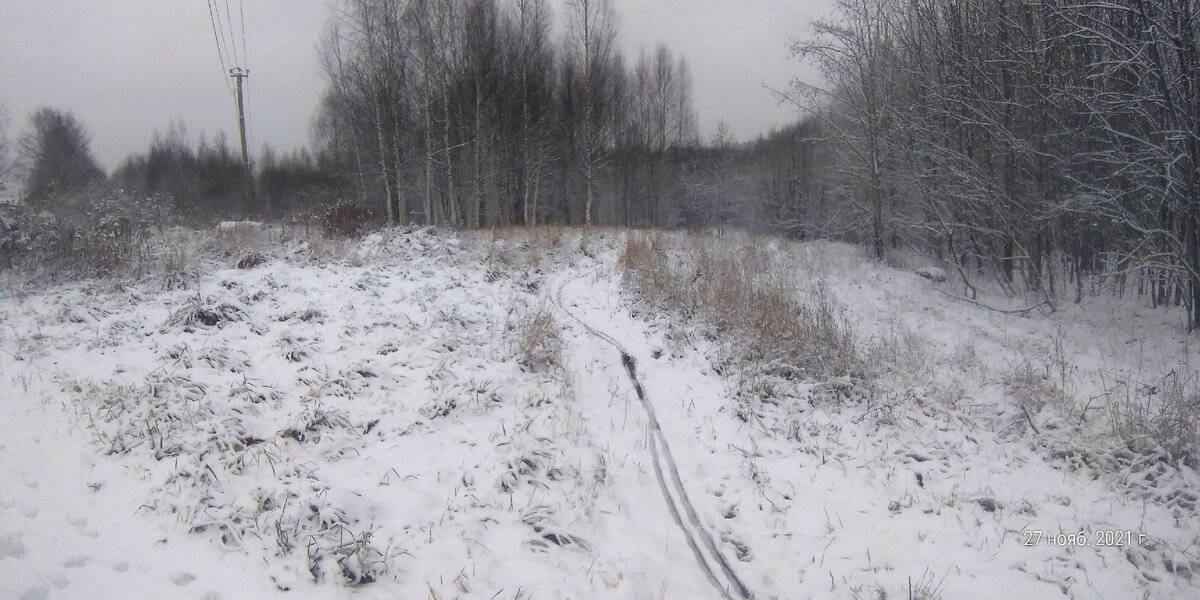 Сегодня