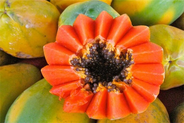 это всего лишь наша земля в другой форме.