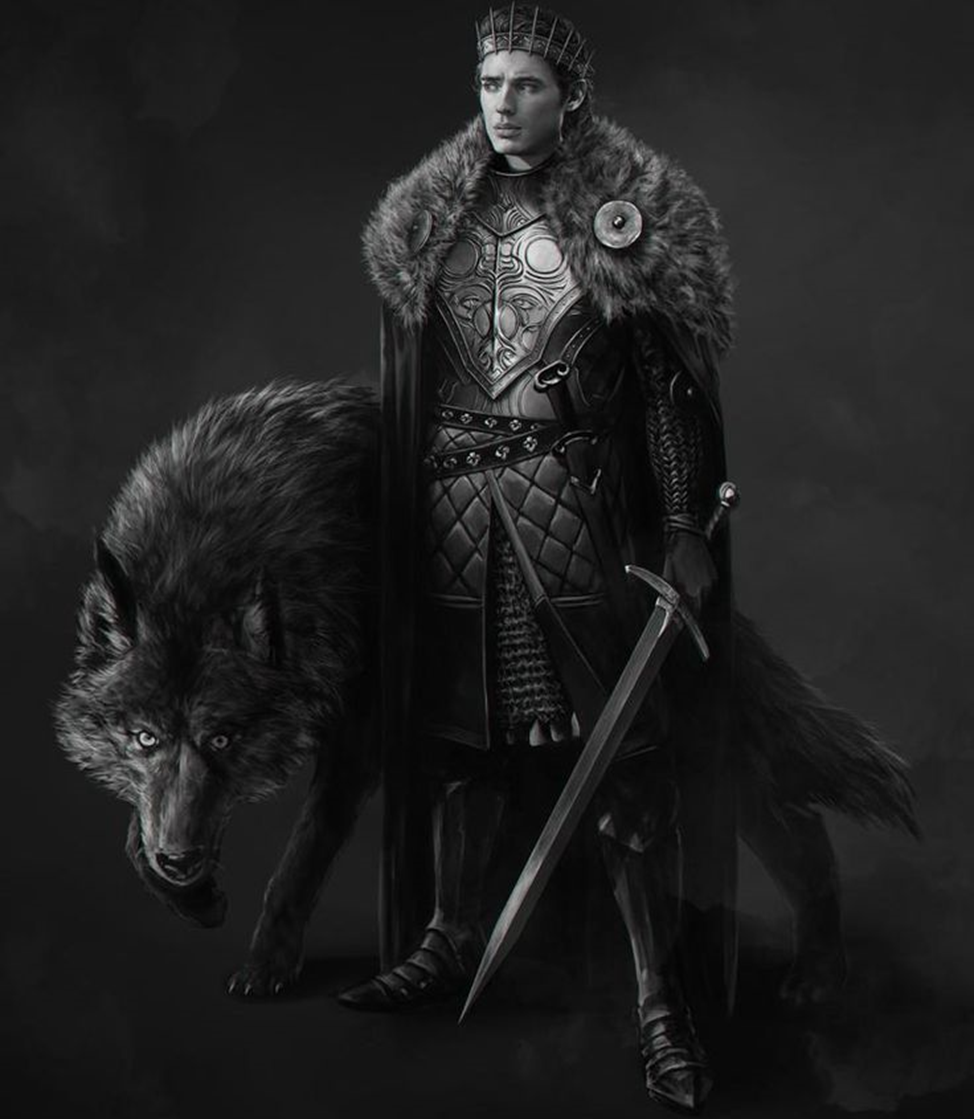 Старк арт. Робб Старк Король севера. Джон Сноу Король севера. Robb Stark Art. Робб Старк Король севера арт.