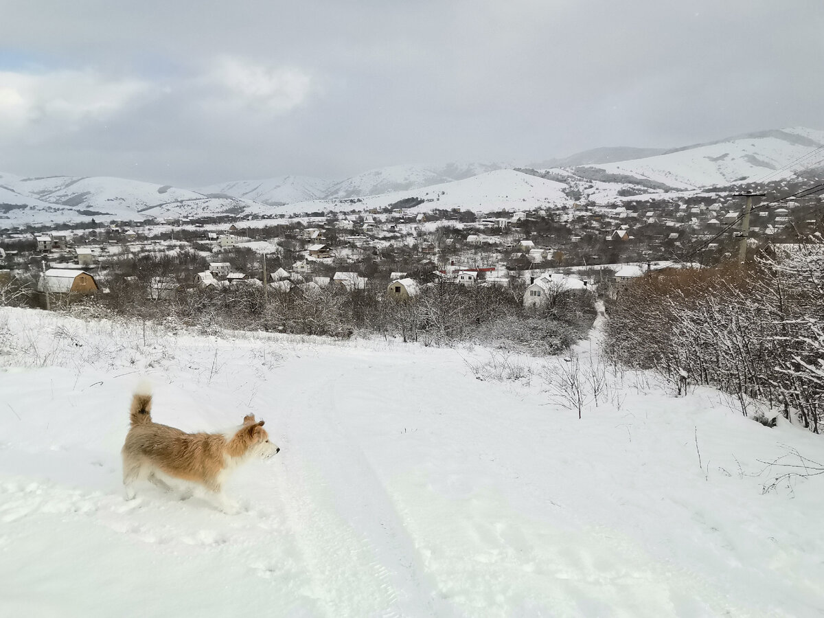 Вот такая снежная дорога вниз, к трассе. 
