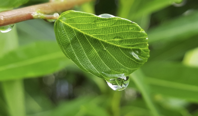 фото pixabay.com