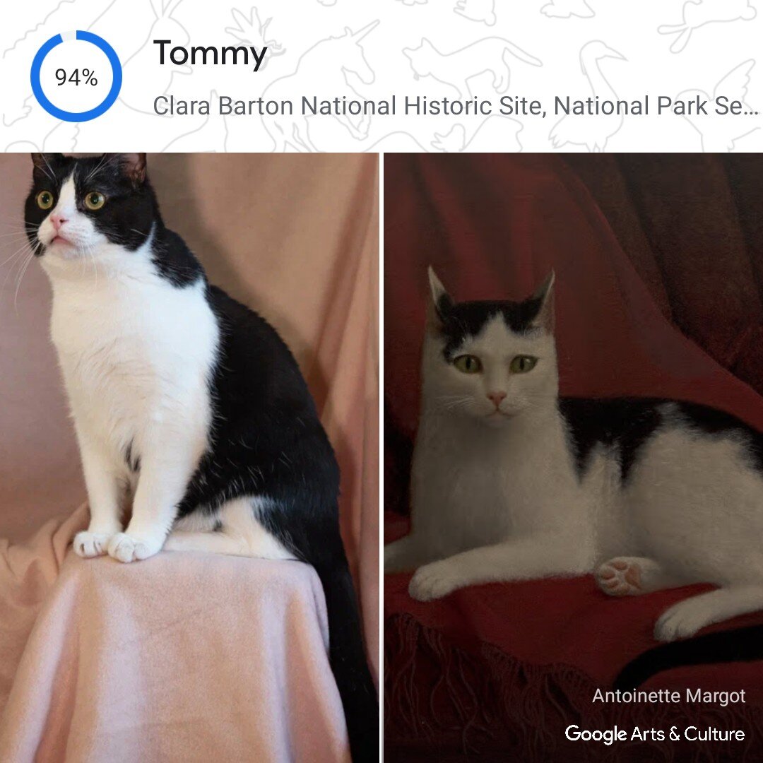 Тяпа в исполнении фотографа Валерии и чёрно-белый котик от Антуанетт Марго