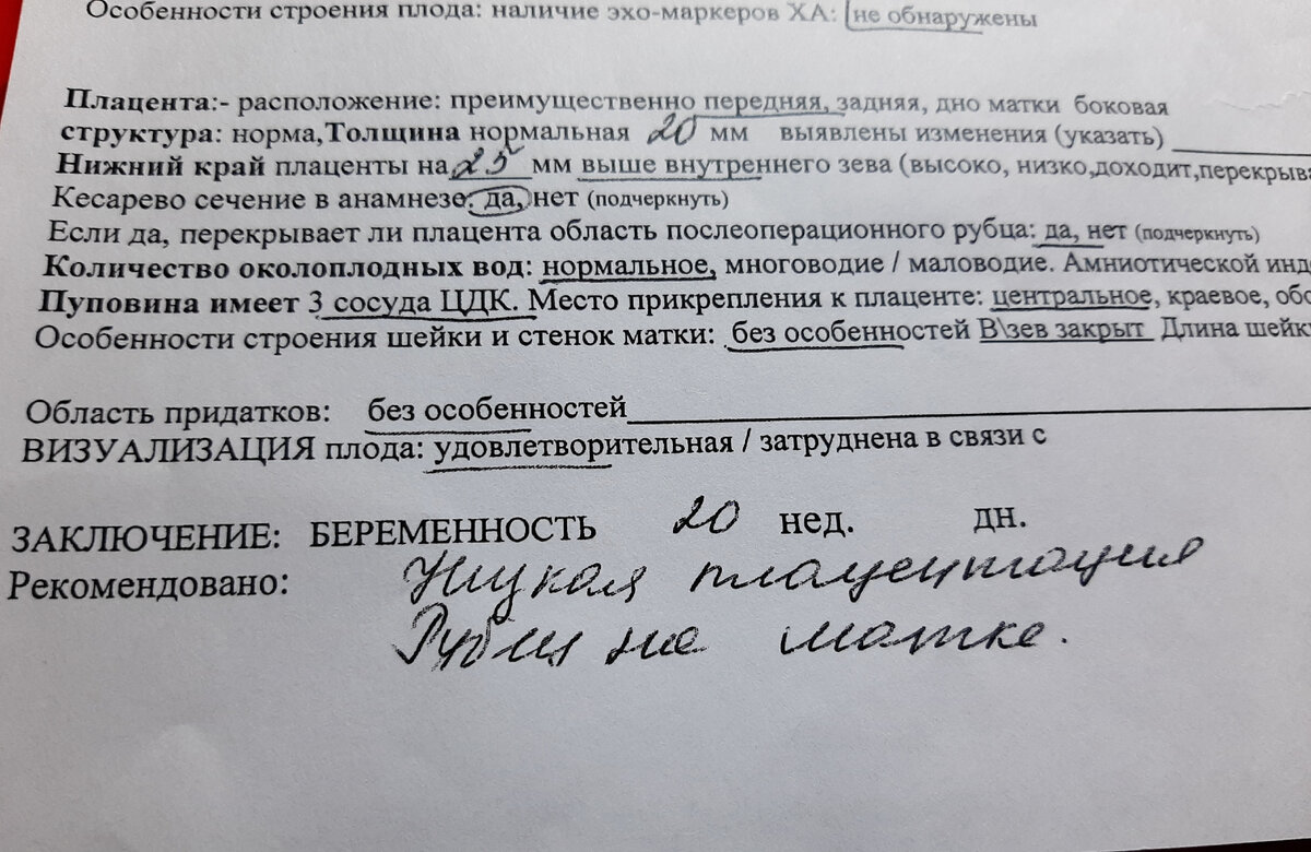 Заключение второго УЗИ