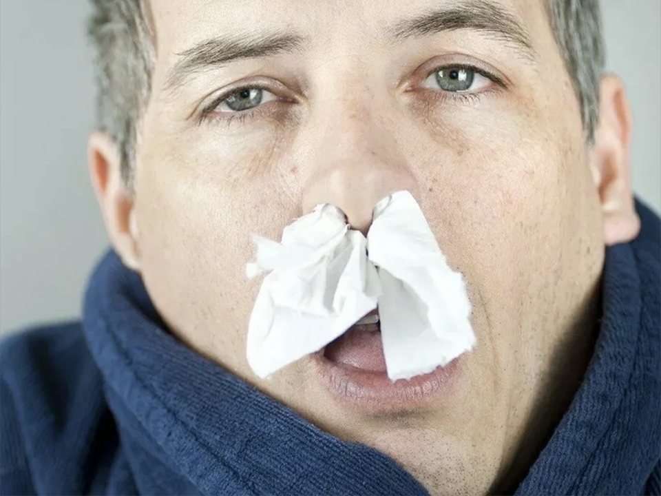 Как избавиться от постоянной сухости носа в домашних условиях