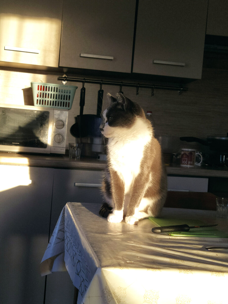 А Маруся позволяет себе иногда и попой на разделочной доске посидеть