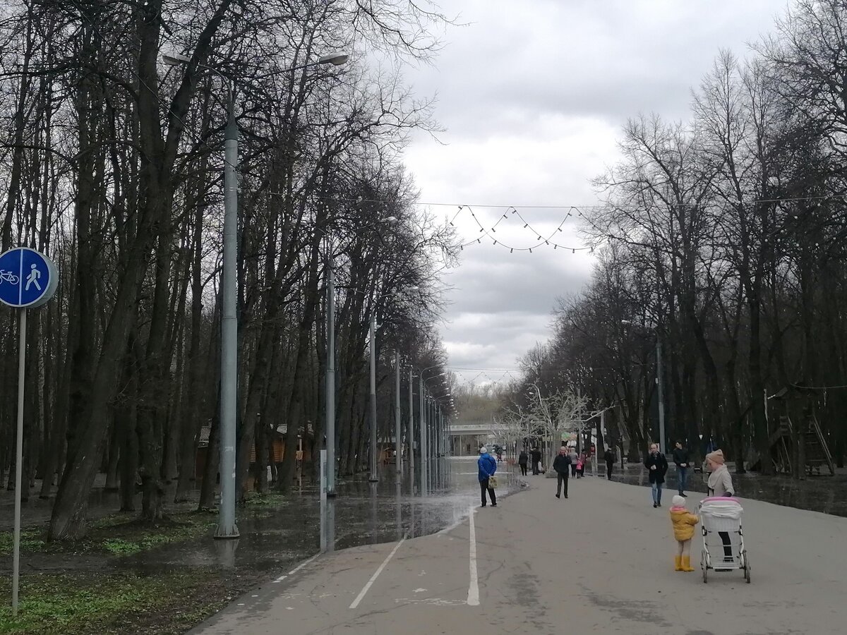 Вода дошла до моста и подтопила центральную аллею.