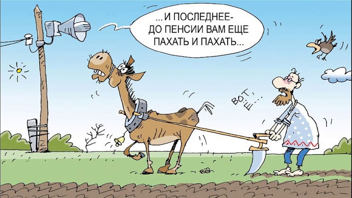 Карикатура, fishki.net